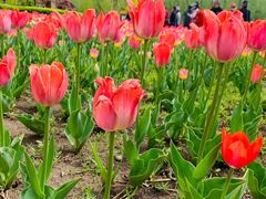 -长春公园(普阳街道)