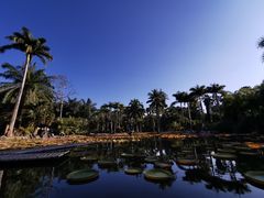 -中国科学院西双版纳热带植物园