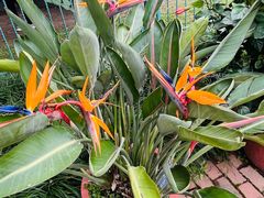 -国家植物园南园