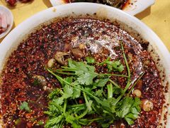 -胖大姐黄辣丁鱼庄(新津店)