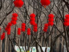 -石家庄市植物园