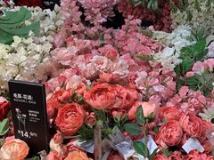 -宜家家居(西安未央商场店)