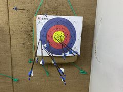 -道顺射箭·团建·骑射(张杨路店)