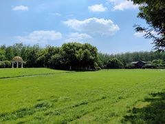 -合肥滨湖国家森林公园