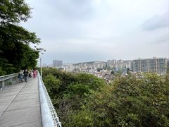 -佛山华盖山公园