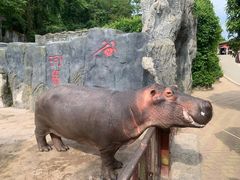 -贵州森林野生动物园