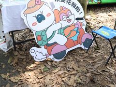 -南宁良凤江国家森林公园