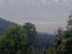 -桃花岭景区