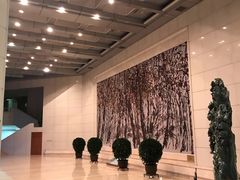 -北京大学百年讲堂