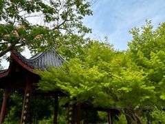 -堤角公园