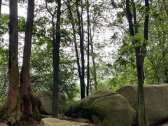 -火炉山森林公园