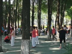 -金砂公园