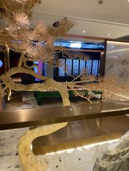 -盘子女人坊生日照·摄影馆(浦东店)