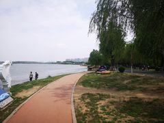 -丁香湖公园