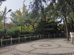 -公主楼