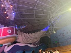 -烟台海昌鲸鲨海洋公园
