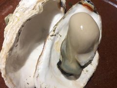 -大连路6号好酒不见