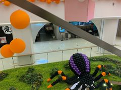 -MUSANG KING猫山王(龙湖杭州滨江天街店)