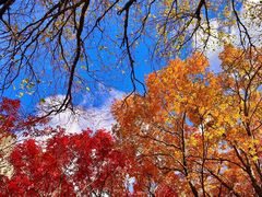 -叠溪松坪沟景区