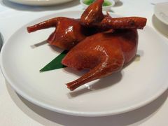 金奖玻璃乳鸽-茉里粤菜(皇姑万象汇店)