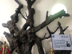 -浙江农林大学(东湖校区)