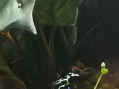 -暹罗海洋世界