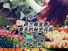 -库肯霍夫公园