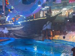 -海合安青岛极地海洋公园