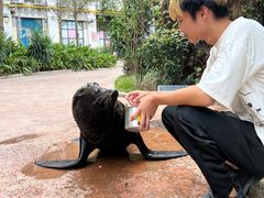 -灵玲国际马戏城