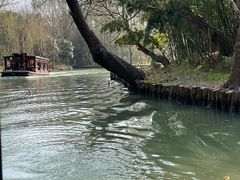 -同里国家湿地公园