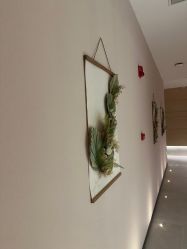 -恒美雅轩·品牌直营连锁