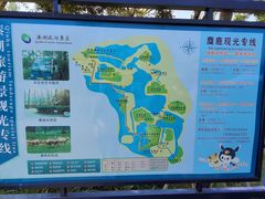 -溱湖国家湿地公园