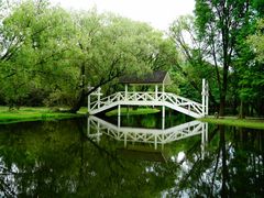 -上海共青森林公园