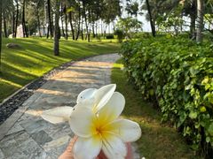 -海口喜来登酒店