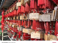 -峨眉山报国寺