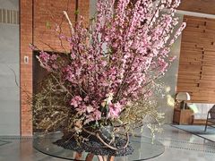 -浅深Cheersum(曹杨店)