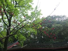 -湖南大学-第5食堂