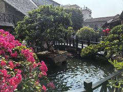 -猪肉婆私房菜(容桂总店)