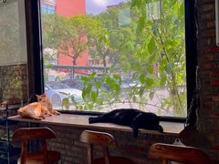 -豆逗聊愈猫阁Easy Life