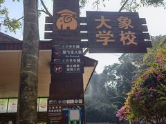 -野象谷景区