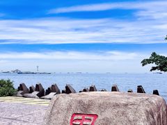 -上海滨江森林公园