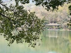 -杭州半山国家森林公园