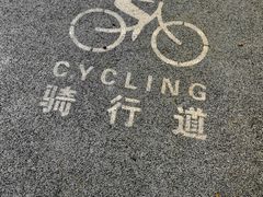 -万绿园
