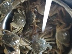-王四营海鲜市场