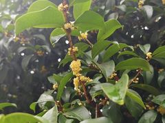 -苏州图书馆(人民路总馆)