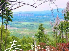 -南京市无想山景区