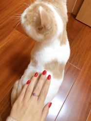 -轻妆Feel·半永久纹眉眼线