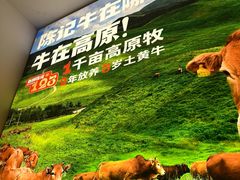-陈记顺和潮汕牛肉火锅(棠德南路店)