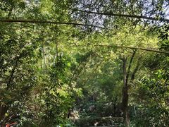 -水濂山森林公园