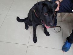 -爱侣宠医·鹦鹉专科·小型哺乳类·异宠专科(灵石路店)